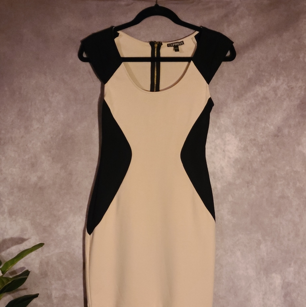 Express Dress/ cocktail or Christmas party dress